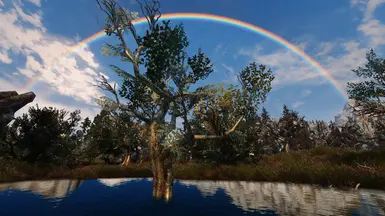 Green Reach Trees in Morthal Swamp rainbow