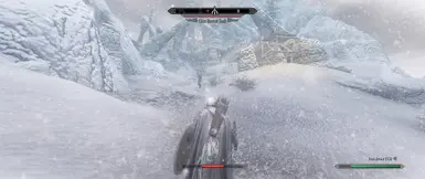 Bleak Falls Assault