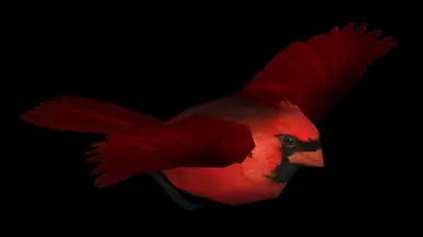 Cardinal