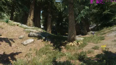 Large Lush trees with Enhanced Landscapes and DynDoLod