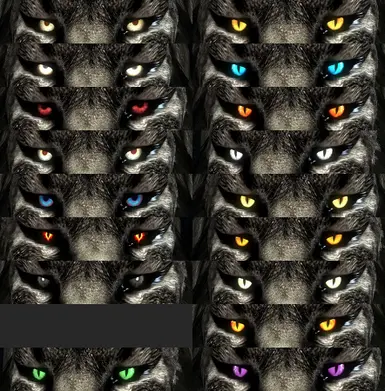 Khajiit