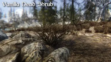 Vanilla Dead Shrub