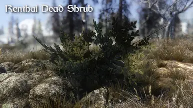 Renthal Dead Shrub