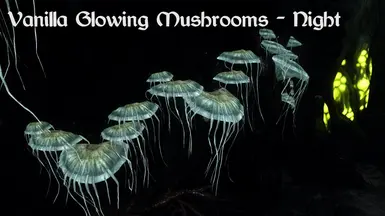 Vanilla Glowing Mushrooms - Night