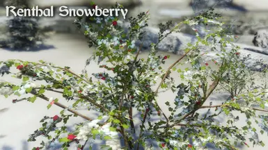 Renthal Snowberry