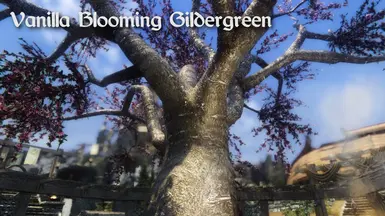 Vanilla Blooming Gildergreen