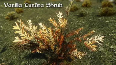 Vanilla Tundra Shrub