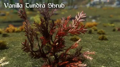 Vanilla Tundra Shrub