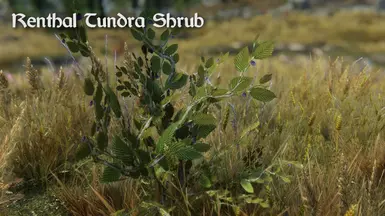 Renthal Tundra Shrub