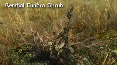 Renthal Tundra Shrub