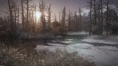 Enhanced Landscape Marsh