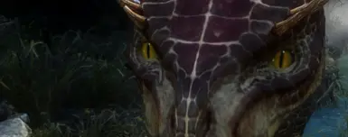 Argonian In Game