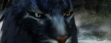 Khajiit In Game