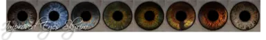 logoeyes