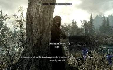 Anum-La the Swamp Knight - South of Folgunthur and sometimes Morthal