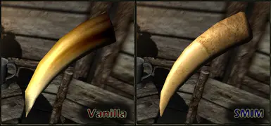 Sabrecat Tooth Comparison