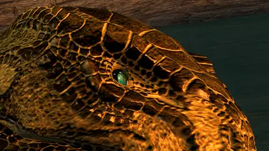 argonian eye