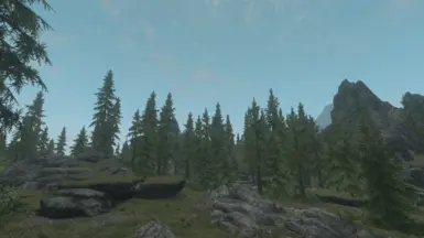 Huge Falkreath Trees (Optional plugin)