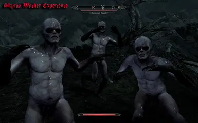 Skyrim Witcher Experience