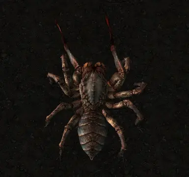 Vanilla Frostbite Spider