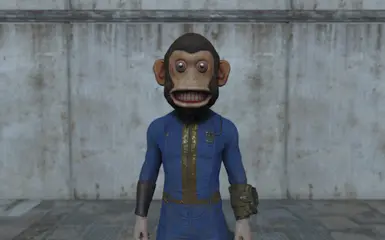 Monkey Head Armor