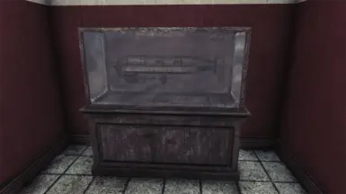 Prydwen display case