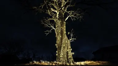 Sanctuary tree all lit up   powered by a single Wireless Power conduit