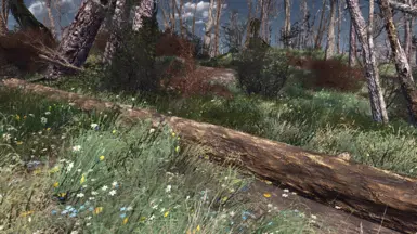 Spring in the Commonwealth 1-7-3