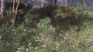 Spring in the Commonwealth 1-7-3