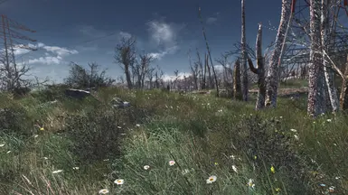 Spring in the Commonwealth 1-8