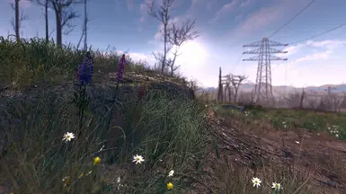 Spring in the Commonwealth 1-9