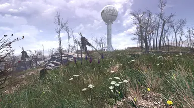 Spring in the Commonwealth 1-9-1