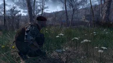 Spring in the Commonwealth 1-9-1