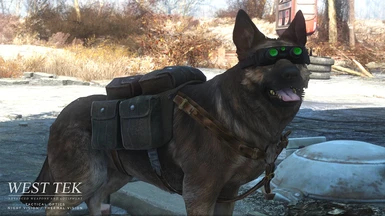 v1-1 Dogmeat tactical doggles