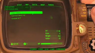 Pipboy