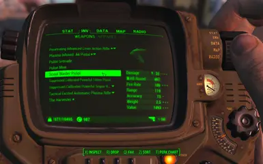 Scout Pistol Pipboy