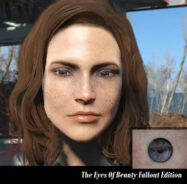 The Eyes Of Beauty Fallout 4 example