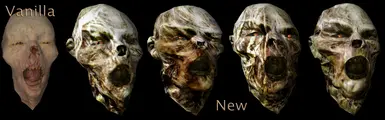 Feral Head Variation