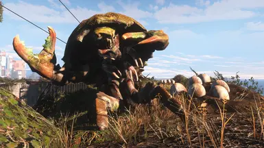 Mirelurk3