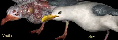 Seagull Nifskope