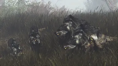 Mutated Wolf Vicious