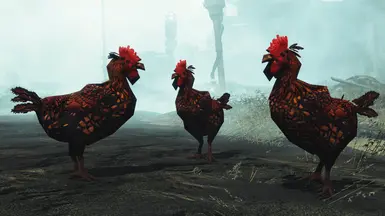 RadChicken 2