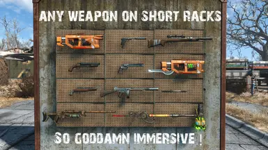 More Neat  any weapon on short racks