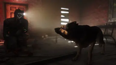 Jealous Dogmeat