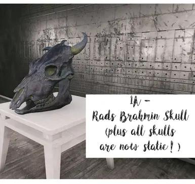 1A - Brahmin Skull Update