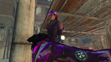 Purple Camo with Zombie Patches (I like purple so I modified the textures haha)