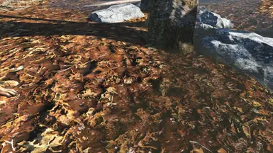 muddy leaves 1k