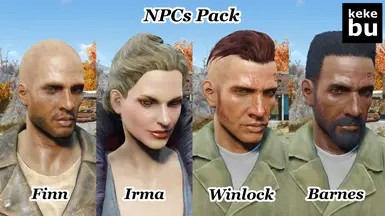 NPCs 17