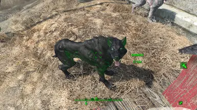 Dogmeat wearing Glowing Wolf Costume