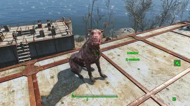 Craftable dogmeat costume - Base Game